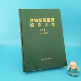 營銷經(jīng)理規(guī)范操作大全（下卷）