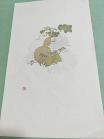画册