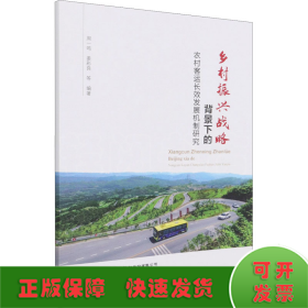 乡村振兴战略背景下的农村客运长效发展机制研究