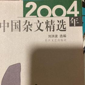 2004年中国杂文精选