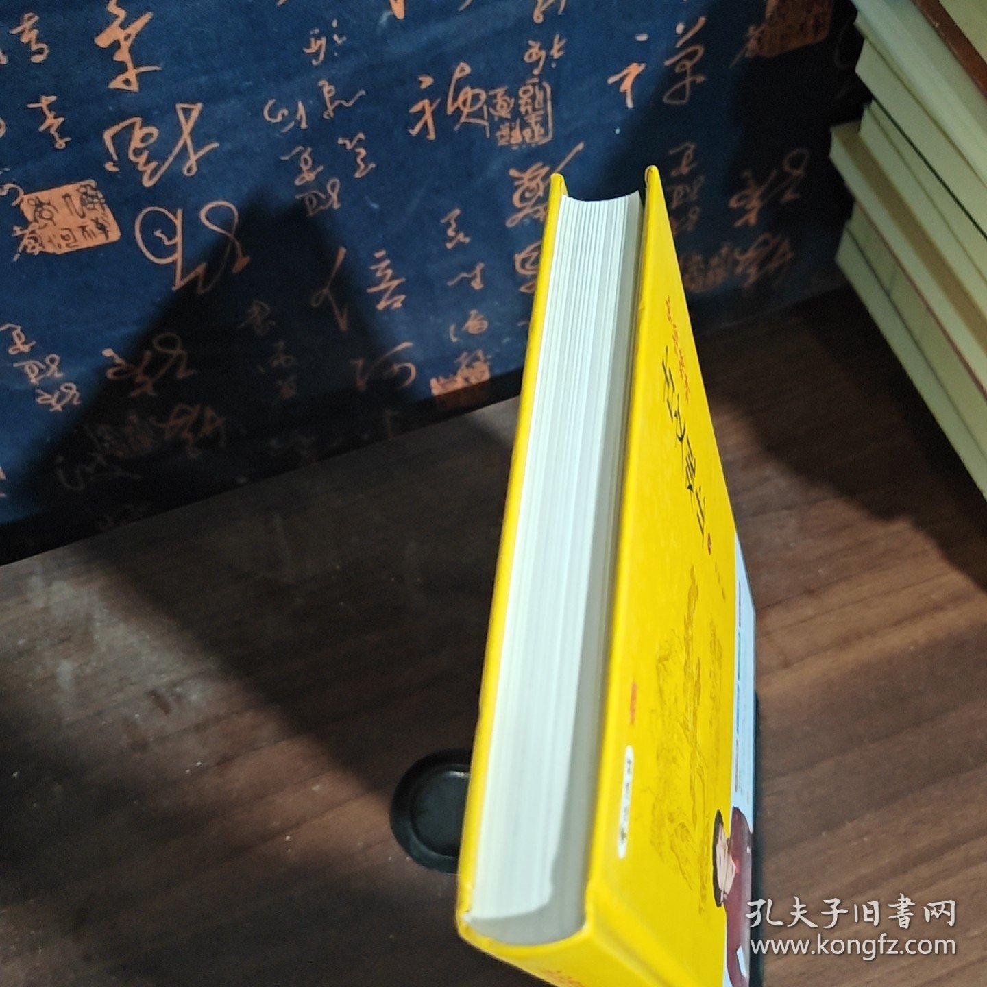 申怡精讲古文观止 下