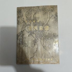 洛阳翟泉一一王氏家谱