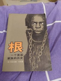 根，一个美国家族的历史