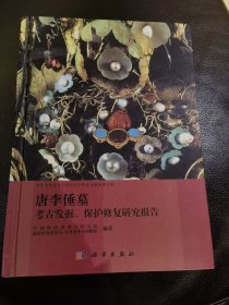 唐李倕墓考古发掘、保护修复研究报告
