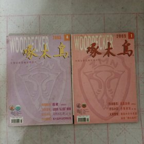 啄木鸟杂志2005年第1.4期(总第164、167期)2本合售