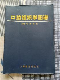 口腔组织学图谱