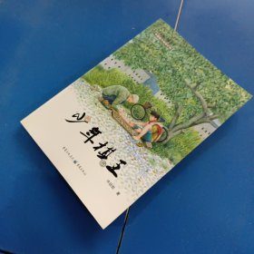 中国孩子阅读计划名家原创:少年棋王
