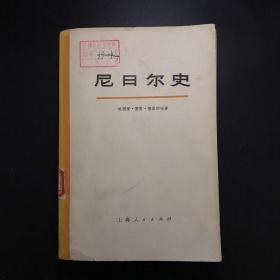 尼日尔史