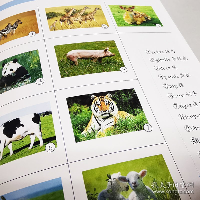 英汉大词典(全新版)(精)