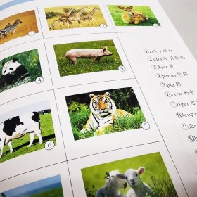 英汉大词典(全新版)(精)