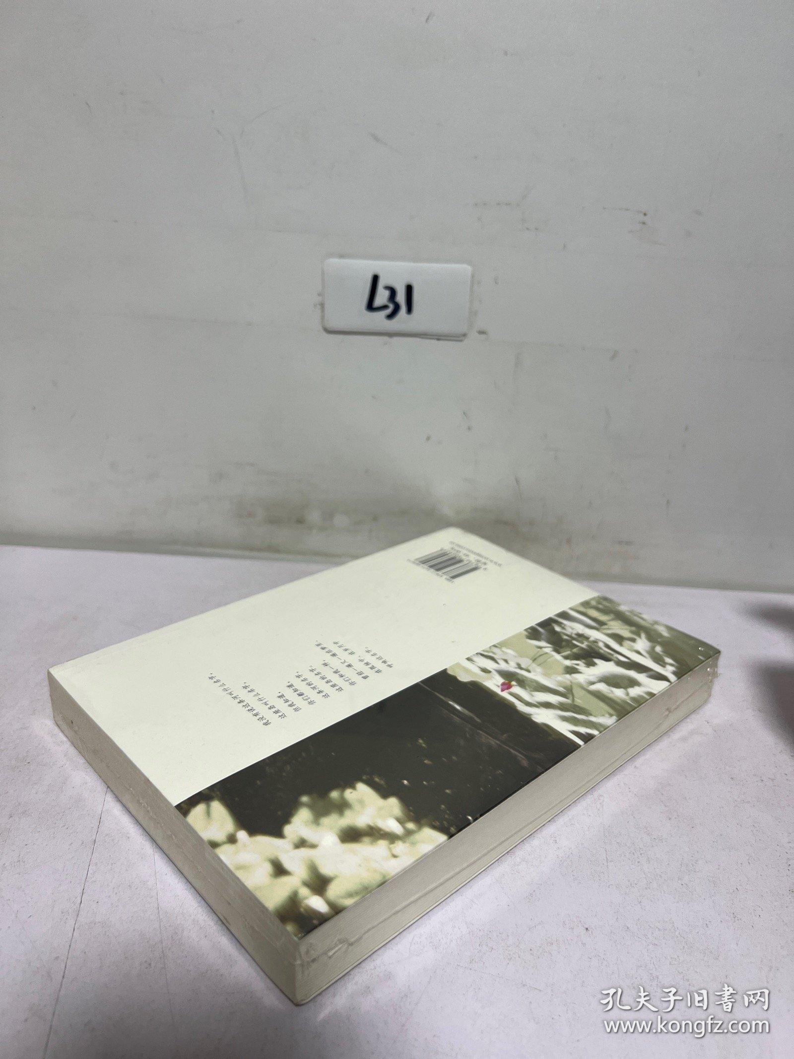 夏雨诗社纪念诗集：白天和黑夜的信使