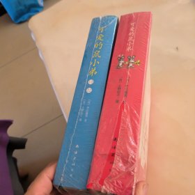 可爱的鼠小弟（1-12）（13-22）【全22册和售 两盒】