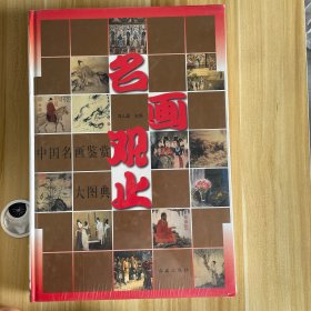 名画观止 中国名画鉴赏大图典（未开封）