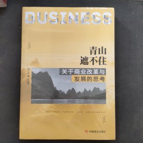 青山遮不住：关于商业改革与发展的思考