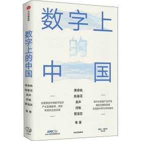 新华正版 数字上的中国 黄奇帆 等 9787521736625 中信出版社