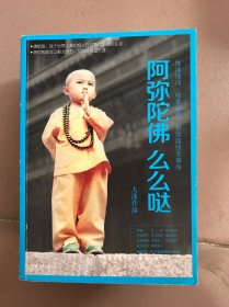 大冰作品系列；乘，摸摸头+阿弥陀佛么么哒+好吗好的+我不 四册