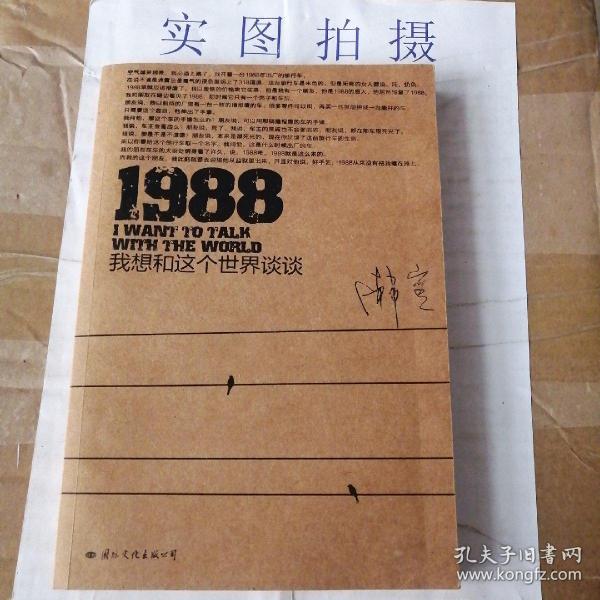 1988：我想和这个世界谈谈