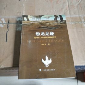 恐龙足迹：追寻亿万年前的神秘印记