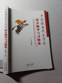 中国现当代文学史同步辅导与习题集杨建华9787540346973