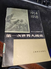 第一次世界大战史 1914-1918 下