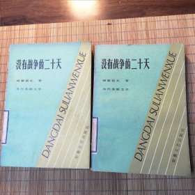 没有战争的二十天