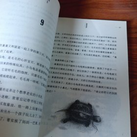 枫林渡