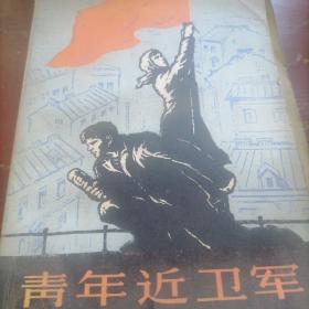 青年近卫军（一，二部）