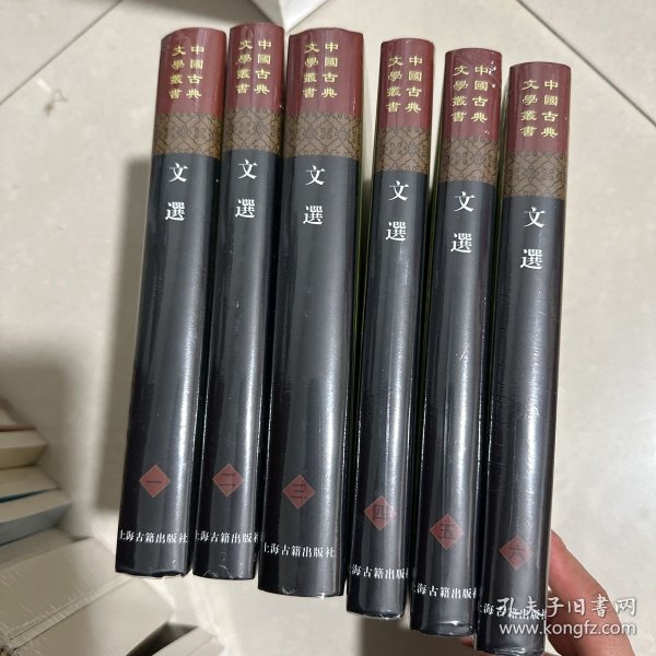 文选(全六册)(精)(中国古典文学丛书）