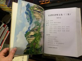 乐清经济师文集（三集）