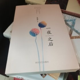 一夜之后