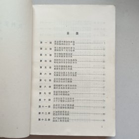 美利坚合众国演义( 中 集)