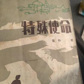 80年代小说，特殊使命