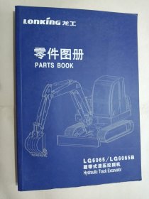 龙工 LG6065、LG6065B 履带式液压挖掘机 零件图册