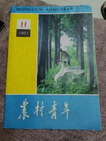 农村青年1991年Ⅱ期