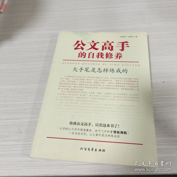 公文高手的自我修养：大手笔是怎样炼成的