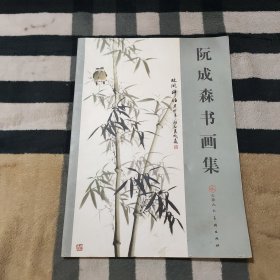 阮成森书画集