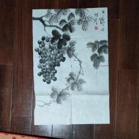 661 当代著名画家  杨彦  早期葡萄图条幅  有撕伤 但不少