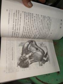 巴黎圣母院：名著名译插图本·精华版