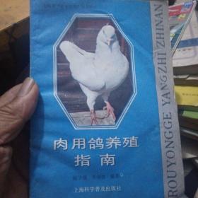肉用鴿養(yǎng)殖指南