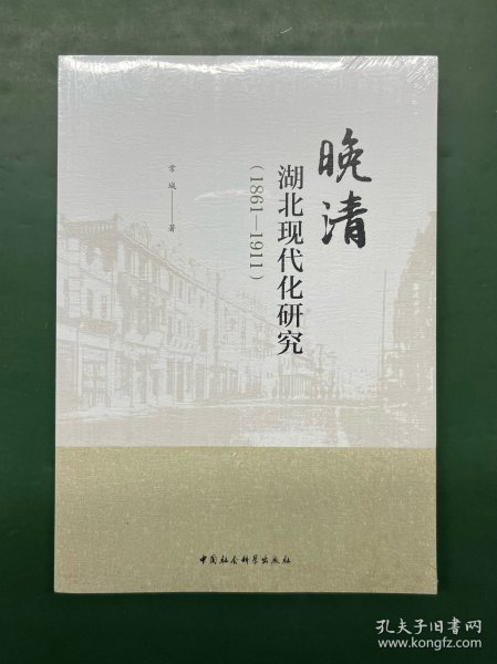 晚清湖北现代化研究（1861-1911）