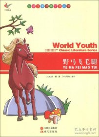【正版书籍】世界少年经典文学丛书--野马飞毛腿