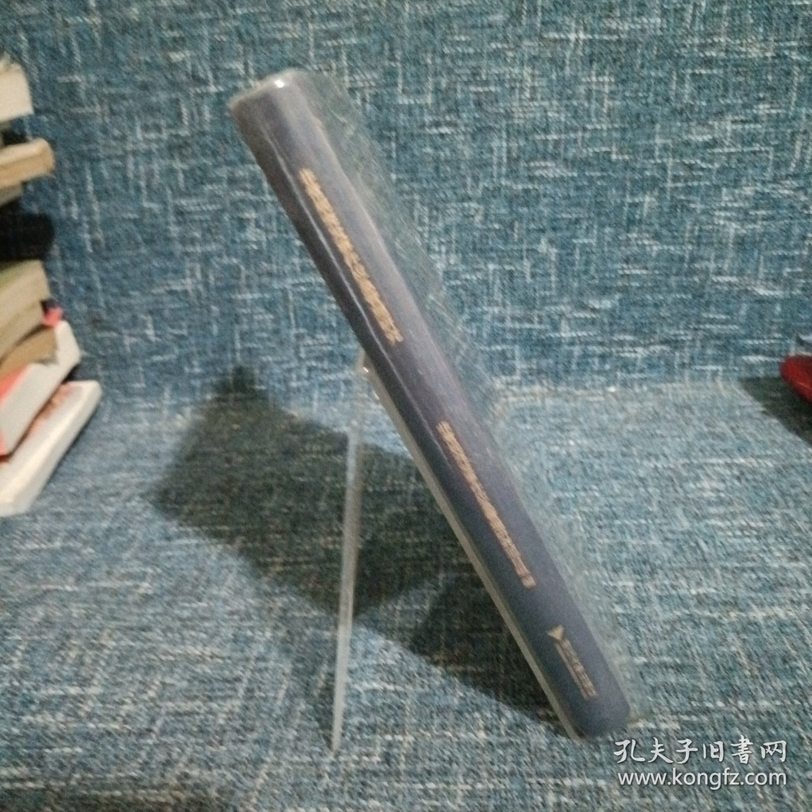 非常规突发事件应急管理研究