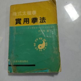 陈式太极拳实用拳法