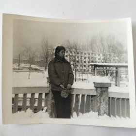 1984年11月，美女在雪中栏杆前留影照片