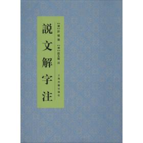 说文解字注 语言－汉语  新华正版