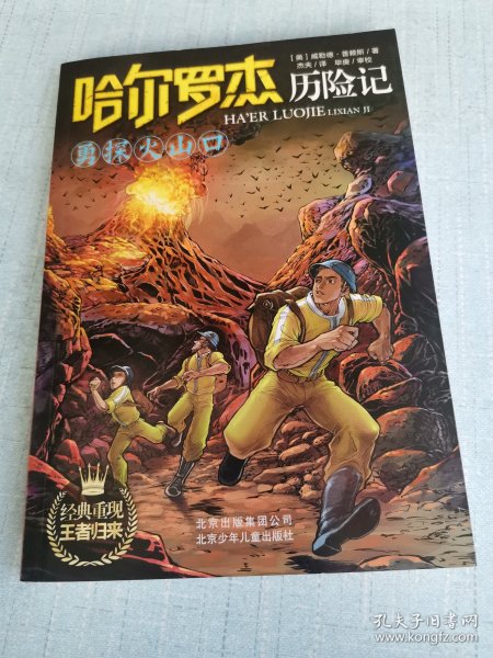 勇探火山口：哈尔罗杰历险记