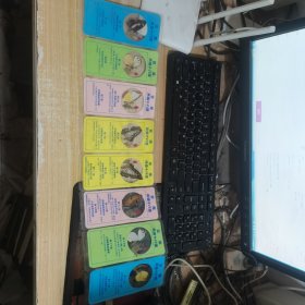 蝴蝶标本八张【云南风情十八怪】