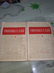 中国农村的社会主义高潮（上下）缺中册 书内容干净完整 书品九品请看图