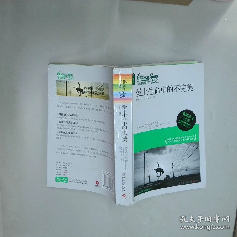 爱上生命中的不完美   美 杰克 坎菲尔德 JackCanfield 湖南文艺出版社