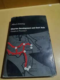 Siberian development and East Asia : threat or promise?